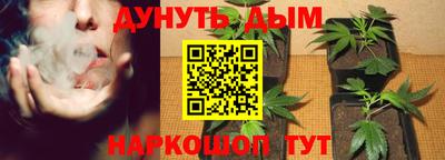 jwh Краснодар