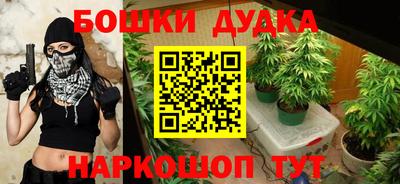 гидропоника Краснознаменск